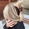 1 Stück Koreanischer ins Herbst/Winter Maillard Haarclip Goldlabel Schokoladenbrauner Haarclip Haiklammer Groß