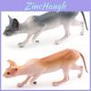 Realistic Pvc Cat Model For Childrens Educational Play And Collectors