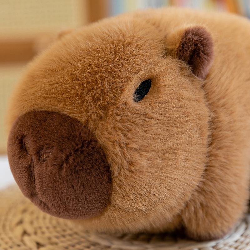 Avocado-Kapibara Plüschtierpuppe grenzüberschreitende neue Tier-Kapibara-Puppe Kissen Geschenk
