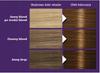 Palette Intensive Color Creme Hair Dye, Permanent, No. 6-65 Nougat 1 Pc