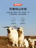 [100% Fine spun Cashmere] Autumn and Winter Warm Half High Collar Business Leisure Solid Color Men's Cashmere Sweater