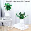 1Pcs Self Watering Hydroponic Planter  for Green Dill Succulents Travel Essentials