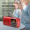 SAST Portable Multi-Function Radio & Media Player
