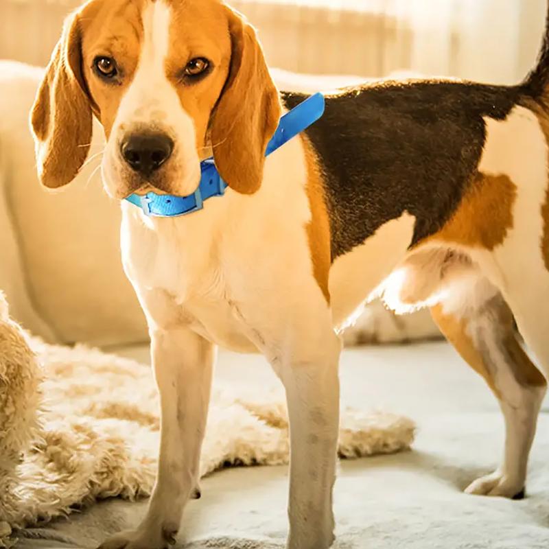 Noční reflexní obojekový pás pro Garmin Astro 220 320 Dc50/ T5/ Tt15 GPS obojek pro psa Vysílač Anténní pás