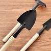 3 Piece Horticultural Succulent Plant Planting Tool Set  Horticultural Tool Set
