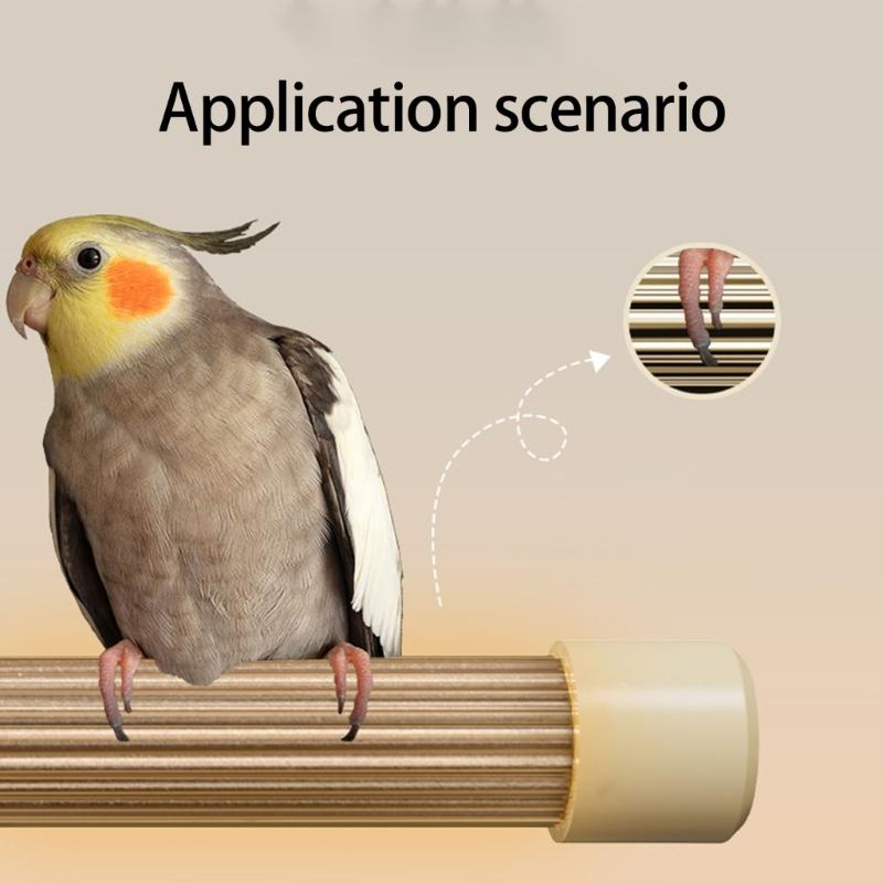 Verwarmde Vogel Zitstok Stand voor Papegaaien Parkieten Kleine Vogels Biedt Constante Temperatuur Warmte Tijdens Koude Winterdagen