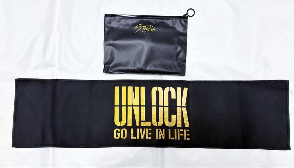[USED] Stray Kids Unlock Slogan