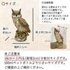 elrinrin Owl Ornament, Garden Object, Gardening Monument, Crow Deterrent, Realistic, Feng Shui, Good Luck Charm (White/Brown)