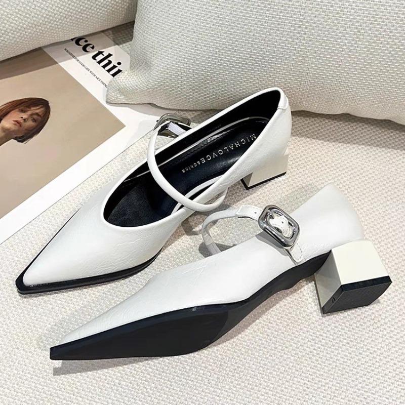 Fashion New Spring Style Pointed Toe Square Heel Versatile Style Single Shoes Women's Shoes Medium Professional Buckle Dress High Heels