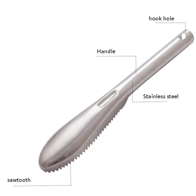 Fish Scaler Remover Cleaner With Sawtooth Easily Remove Fish Scales For Home Kitchen Fish Cleaning Seafood Tools Descaler