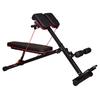 Ganas Multi-function Roman Hyperextension Training Chair