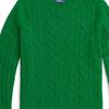 Polo Ralph Lauren Solid Ribbed Crew Neck Casual Long Sleeve Knit Sweater Women Sweater Green 211910421-020