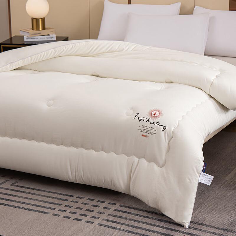 PAUI DAVID All-Season Antibacterial Duvet Insert