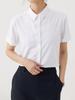 Dress Regular Open Short School Entrance Business High XS To 3XL [RCL] Women's Shirt, Stretch, No-Iron Blouse, Collar, Collar, Sleeve, Business,