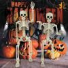 With Sound Halloween Movable Skeleton 40cm Simulated Human Skeleton  Haunted House