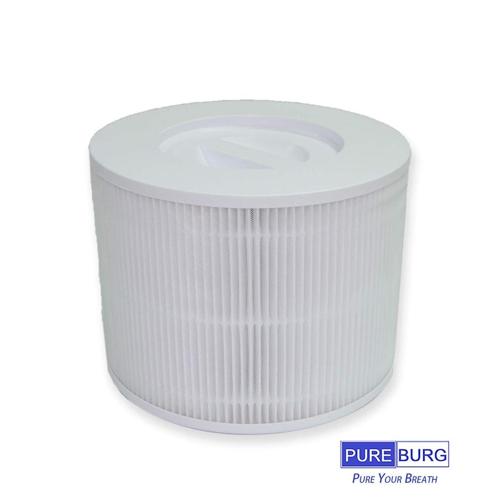 PUREBURG Compatible Filter for Levoit Core 300 P350 2 Pack H13 True HEPA Dust Collection Deodorizing Filter