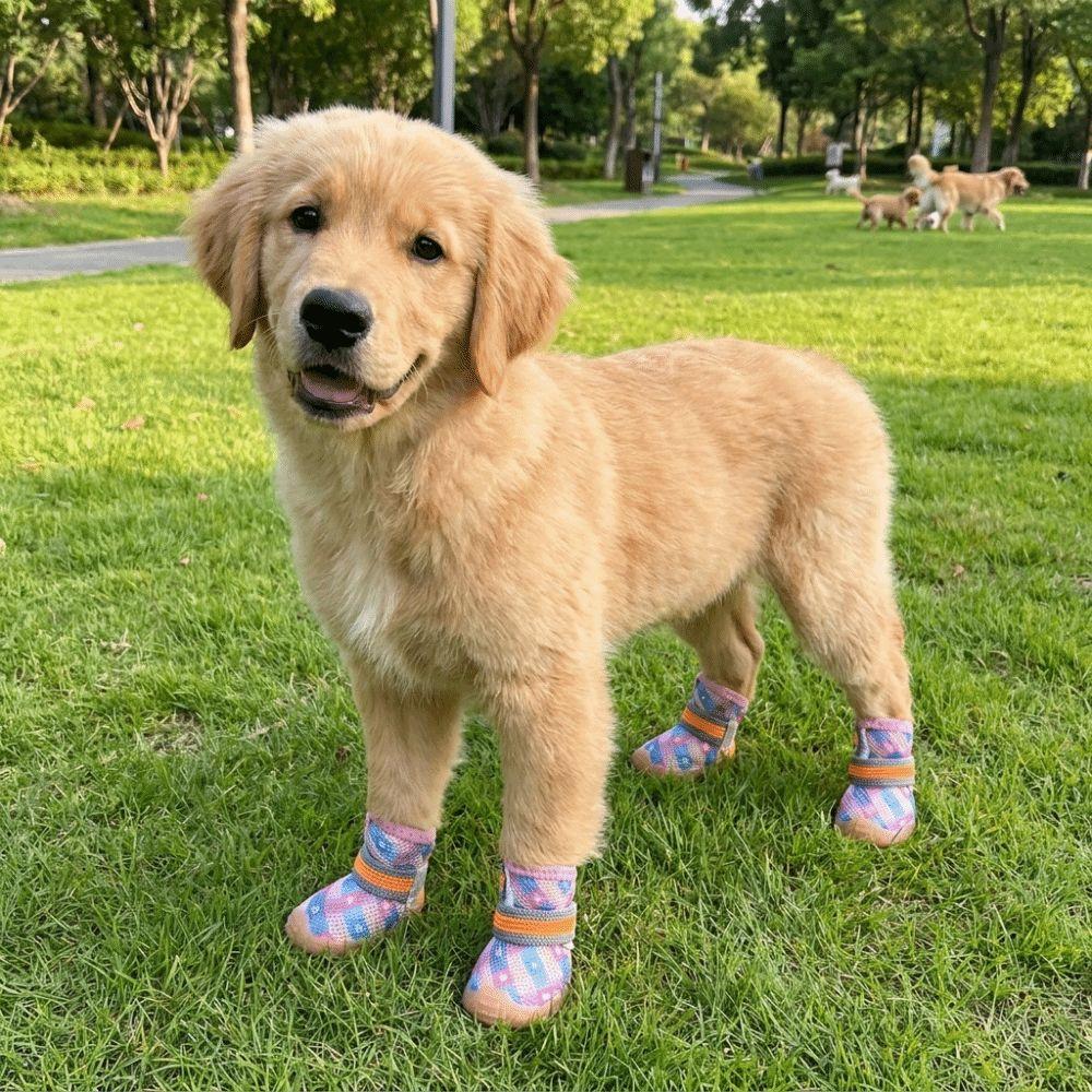 4 pcs/set Breathable Mesh Pet Net Boots Wear Resistant Dog Paw Protectors  Outdoor Walking