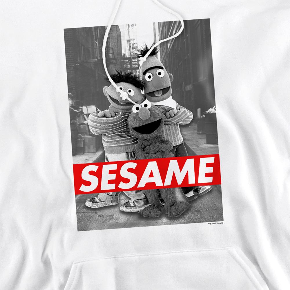 Sesame Street Unisex Adult Sesame Hoodie