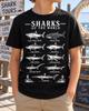 Sharks of the World Shirt, Ocean Species Chart Tee, Marine Biology Gift, Great White Whale Shark Design, Sea Life Lover, Science Teacher Top
