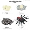 Montessori Cognitive Models: Sea Turtle, Hen, Frog, Snail, Butterfly, Bee Growth Cycle Toys