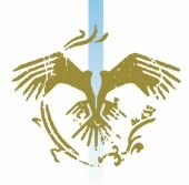 

CD ROVO - CONDOR WRCD36 Japan Japanese Pop/Rock Used