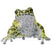 Grenouilles Japonaises Technicolor Nature Édition Spéciale Grenouille Isikawa d'Okinawa Jouet Capsule Gachagacha