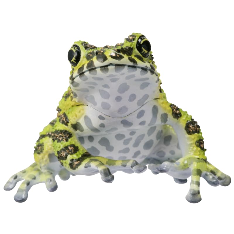 Grenouilles Japonaises Technicolor Nature Édition Spéciale Grenouille Isikawa d'Okinawa Jouet Capsule Gachagacha