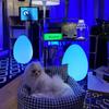 Nordic Egg-Shaped Table & Floor Lamp: Luxury Smart Lighting for Bedroom and Living Room