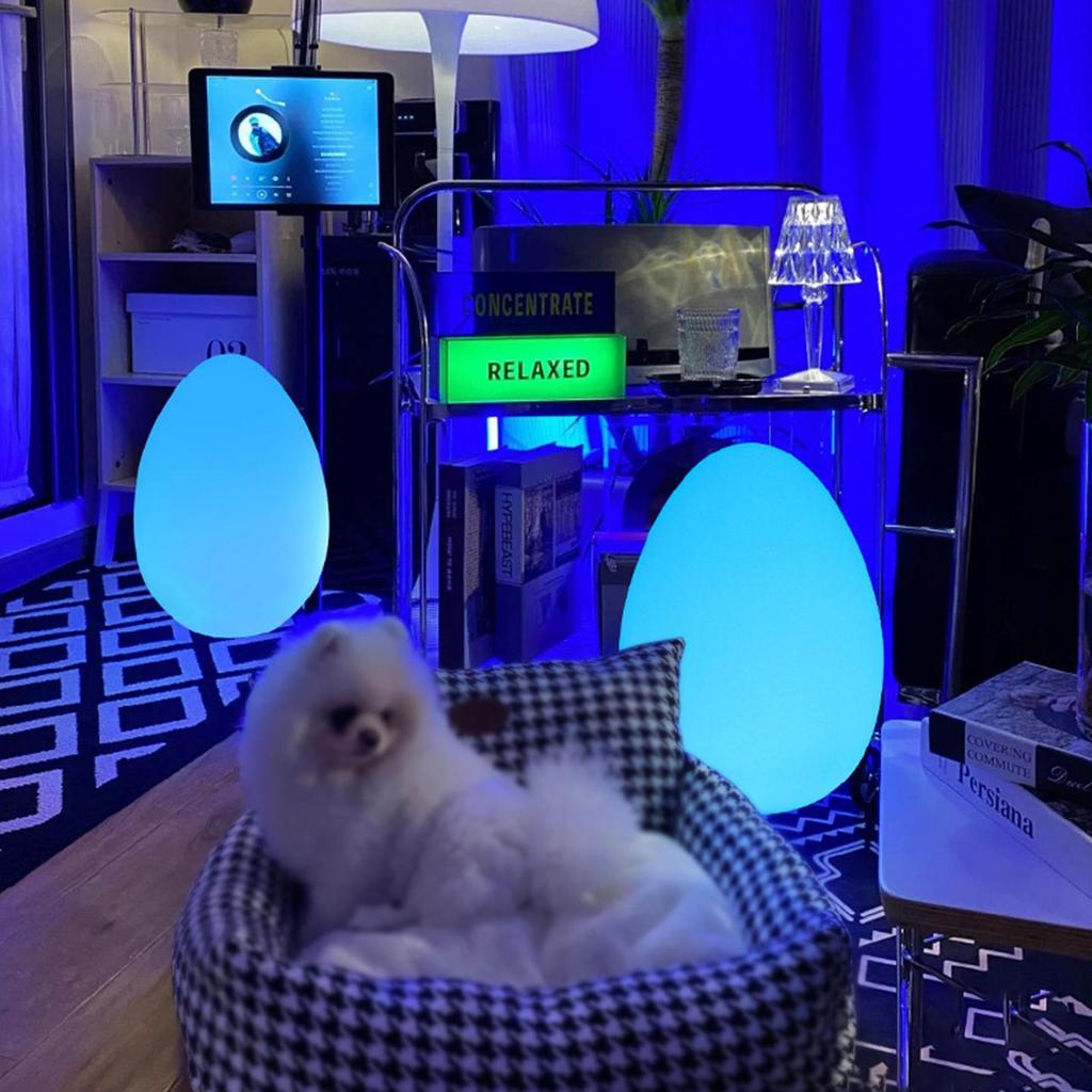 Nordic Egg-Shaped Table & Floor Lamp: Luxury Smart Lighting for Bedroom and Living Room