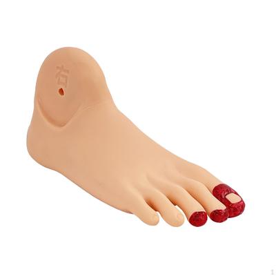 Diabetes Foot Model Simulation Realistic Supplies Training Nursing
