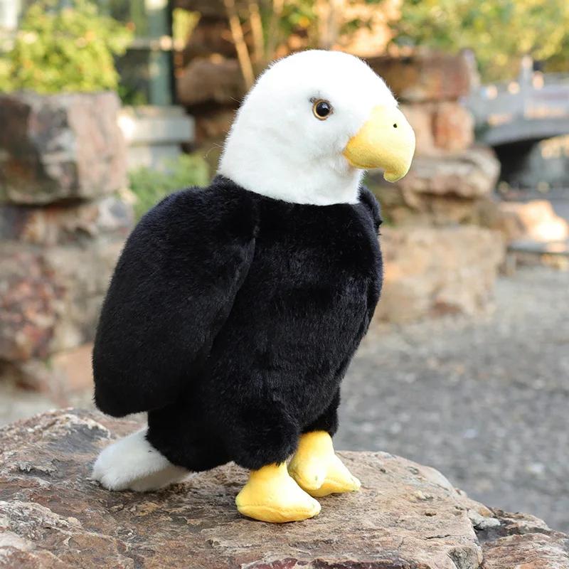 Simulatie Knuffeldier Schattige Vogels Papegaaien Toekan Adelaar Pauw Duif Pluche Speelgoed Educatief Cadeau