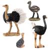 Childrens Bird Animal Model Pvc Realistic Australian Ostrich Baby Figurine For Educational Play And Farm Decor