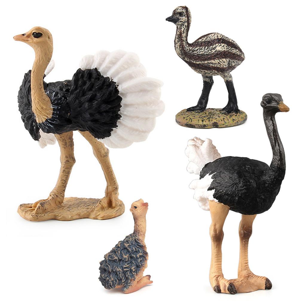 Childrens Bird Animal Model Pvc Realistic Australian Ostrich Baby Figurine For Educational Play And Farm Decor