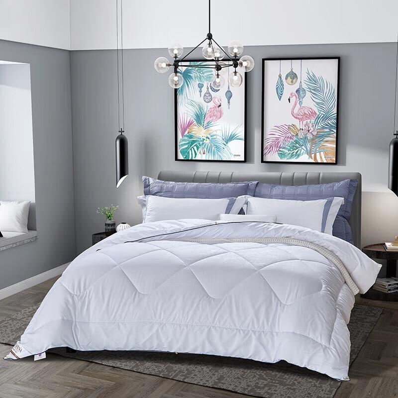 FUANNA Iris Four Seasons Tussah Silk Blend Quilt