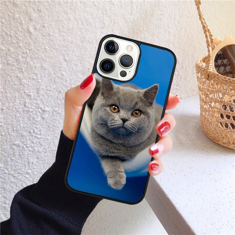 British shorthair cat Phone Case for iPhone 17 Air 16 PRO MAX 15 14 PLUS 11 12 13 Back Cover Fundas Shell