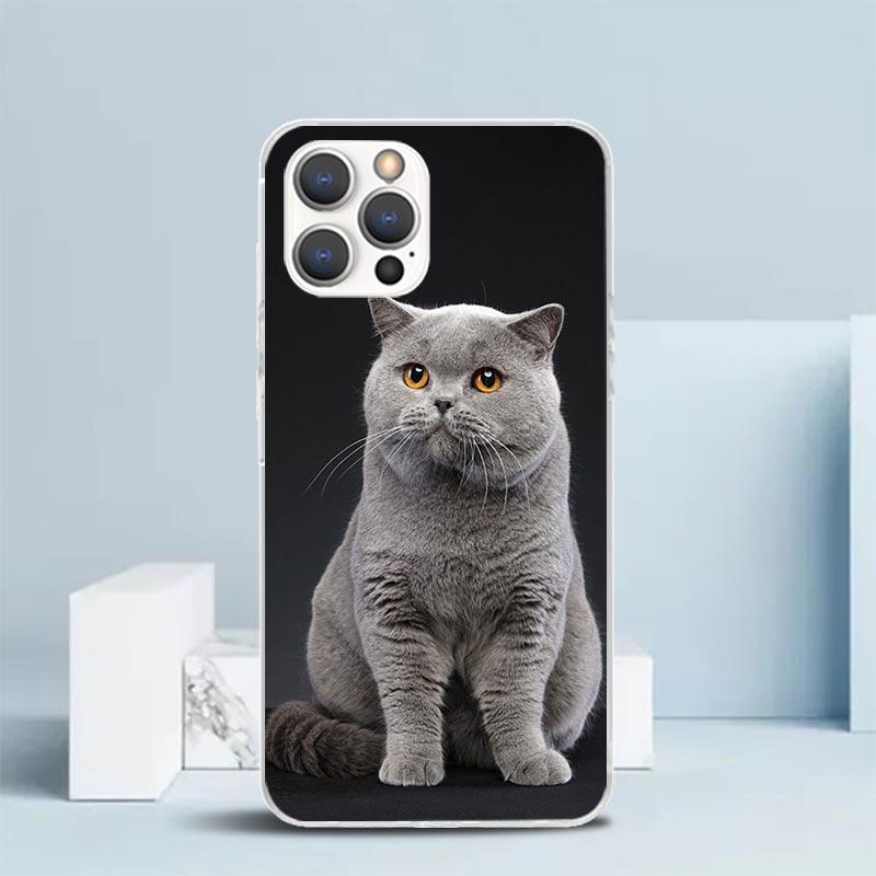 

British Shorthair Cat Phone Case For IPhone 16 17 Air 16E 15 14 Plus 13 Mini 12 11 Pro Max 7 8 + SE 2020 Soft TPU Back Cover 16 iPhone 15 Pro