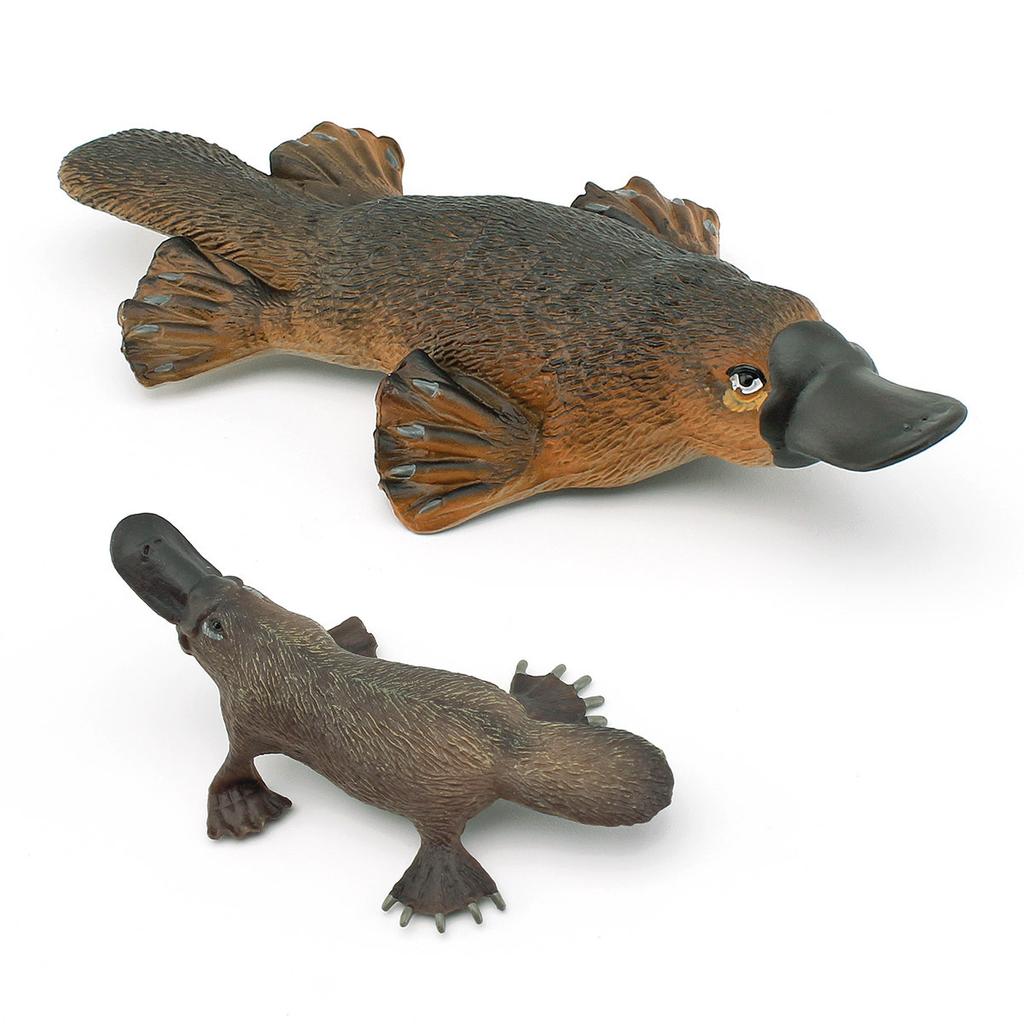 Forest Mammal Platypus Model Children'S Cognition Australian Duck Otter Tabletop Ornament