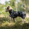 Small and medium-sized dog dog raincoat double neck waterproof breathable puppy raincoat outdoor poncho pet raincoat pet supplies