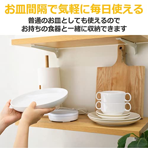 CCP Heated Warming Plate, Onsara, White, ZHM-DW71-WH