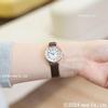 Seiko Watch ALBA Riki Standard Ladies Solar AKQD403