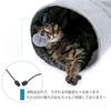 PAWZ Road Cat with Suitable for Large Gray Tunnel, 3-Way Foldable, Suede-like Finish, Pom-Pom, Cats,