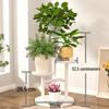 Modern Multi-layer Iron Plant Stand