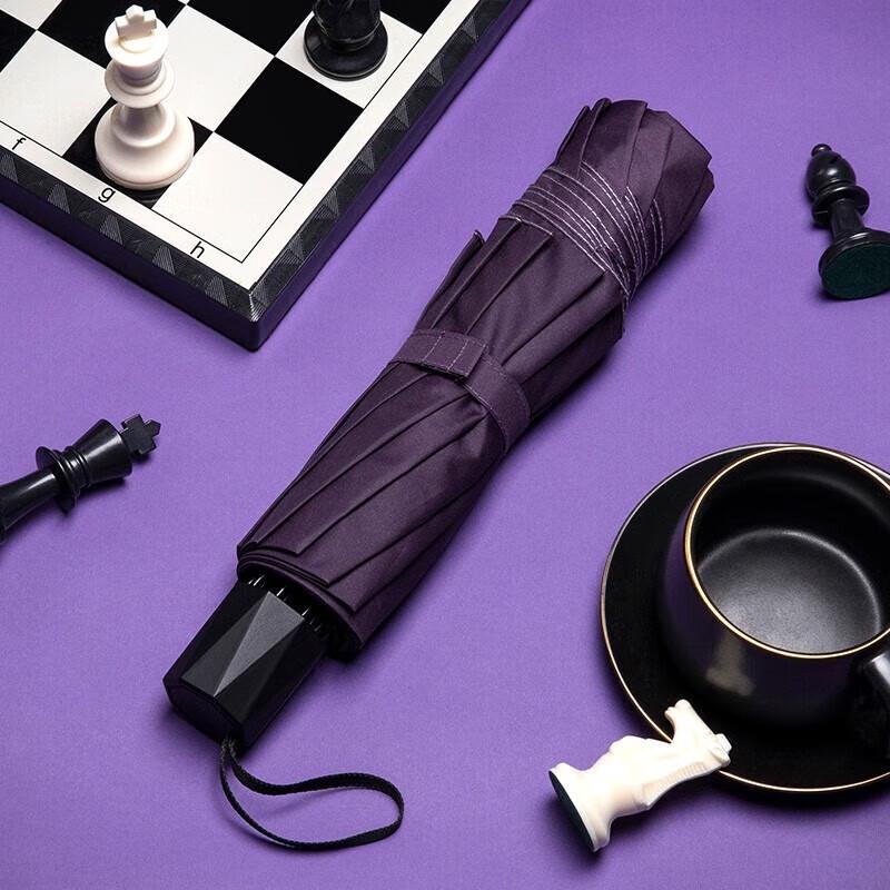 Hongye 10-Rib Foldable Business Rain and Sun Umbrella