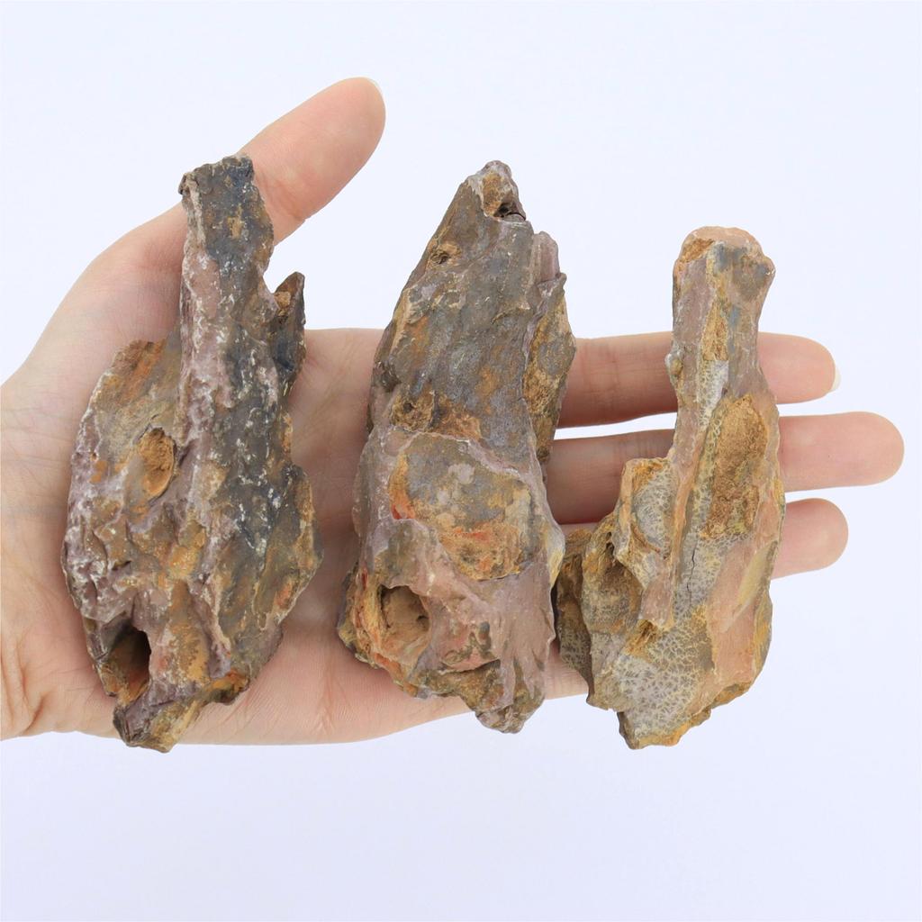 1lb/500g Natural Dragon Bone Stone, Aquarium Landscape Decorative Stone, Natural Irregular Stone, Porous Stone, Fish Tank Fillin