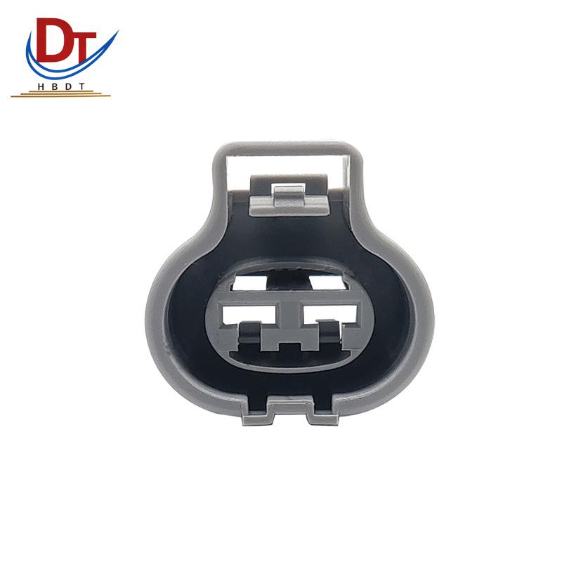 Automotive Wiring Harness Connector Plug DJ7021Y-4.8-21: 2-Pin Hole, Domestic Plastic Sheath