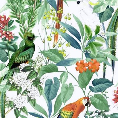 World Of Wallpaper Tapeta Ikala