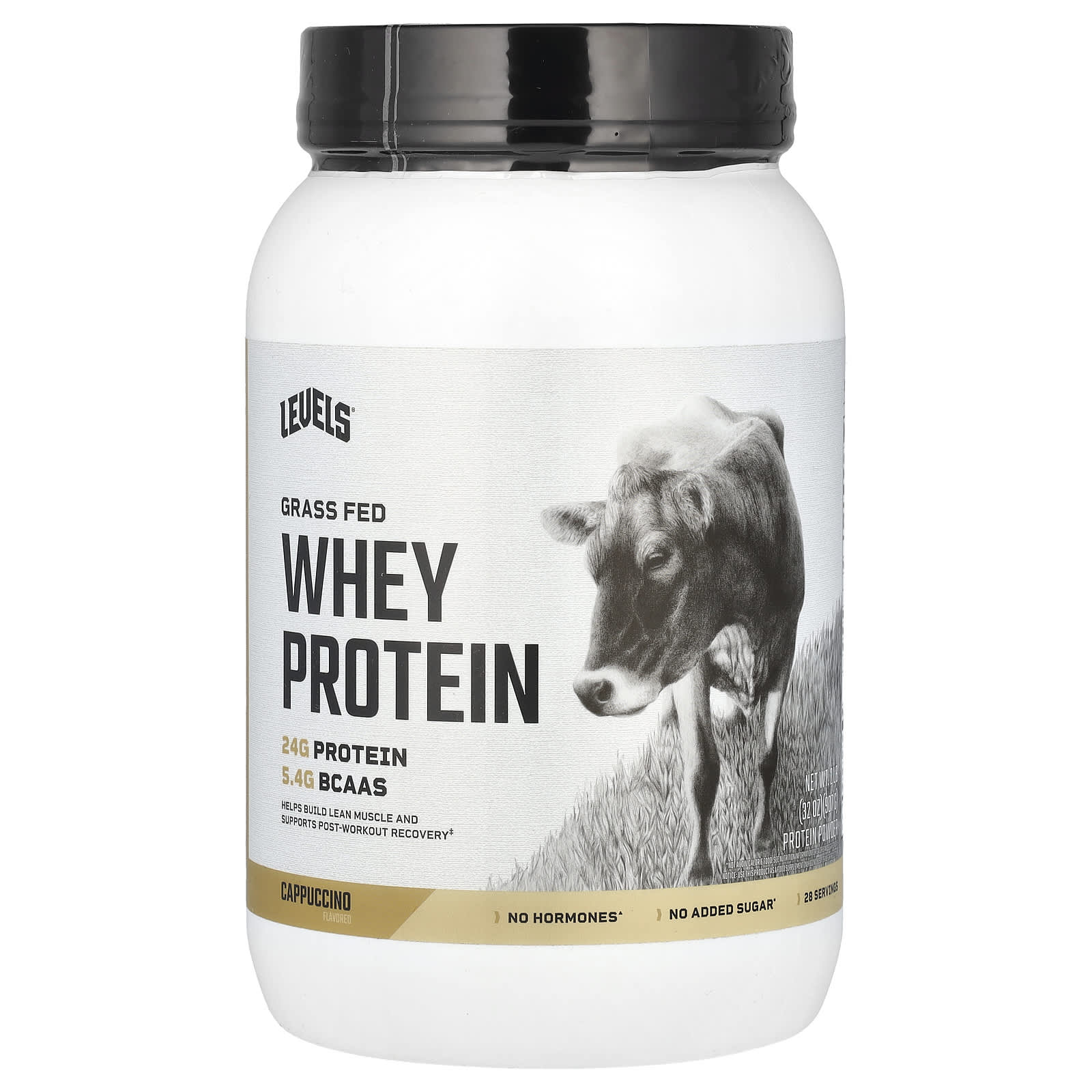 

Levels, Grass-Fed Whey Protein Powder, Cappuccino, 2 lb (907 g)