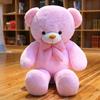 Large Bow Tie Bear Girl Plush Toy Couple Hug Bear Doll For Friends Wedding Gift Rag Doll Hair