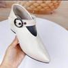 Fashion Shoes New Pointed Toe Sexy Chunky Heels Women Shoes Female Retro Belt Buckle Black High Heels Shoes Chaussure Femme 2024
