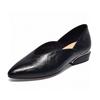 Pointed Head Shallow Mouth Single Shoes Women's Spring New Simple and Generous Two Height One Pedal Work Shoes